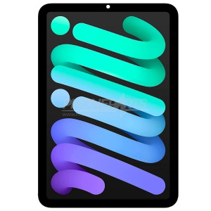 Display touch iPad Mini 6