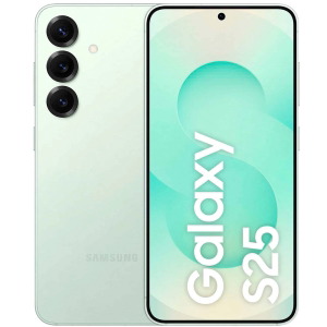 Display touch Samsung S24 Plus (SM-S926)